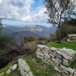 Brick pathway on the coast