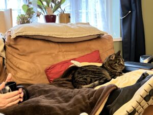 peace, a person sitting on a couch, mug of tea and a cat cuddling up.